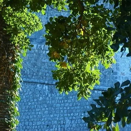 Ivo's Garden Prostran Stan U Blizini Starog Grada Apartment Dubrovnik