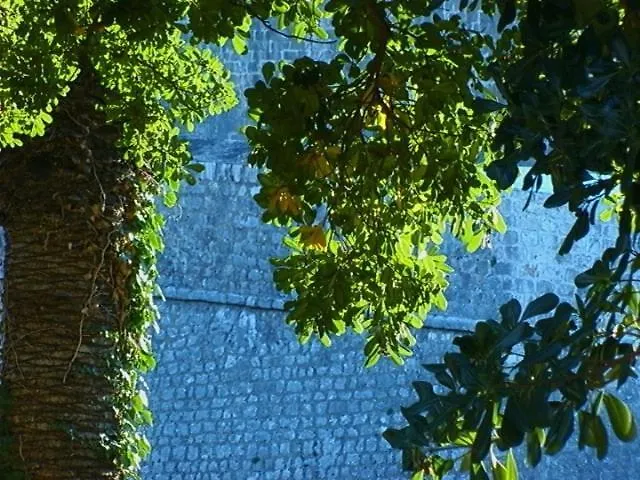 Ivo's Garden Prostran Stan U Blizini Starog Grada Apartmán Dubrovník